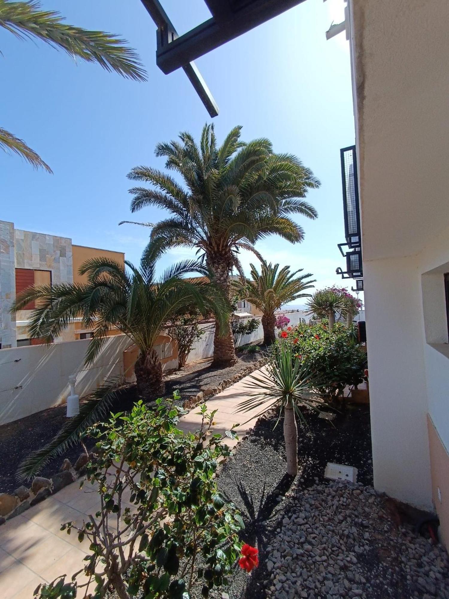 Apartamento Reload Complex Amaya Fuerteventura 科斯塔德安提瓜 外观 照片