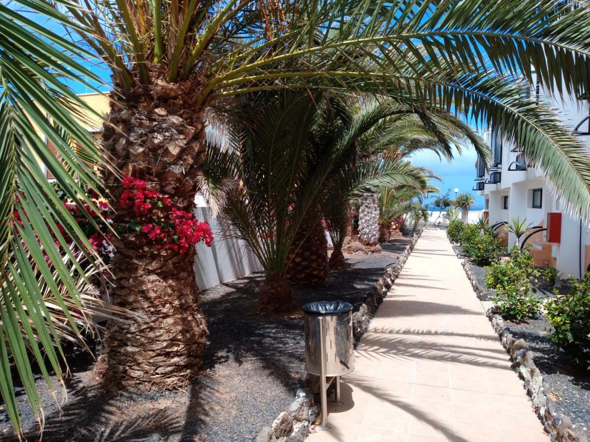 Apartamento Reload Complex Amaya Fuerteventura 科斯塔德安提瓜 外观 照片